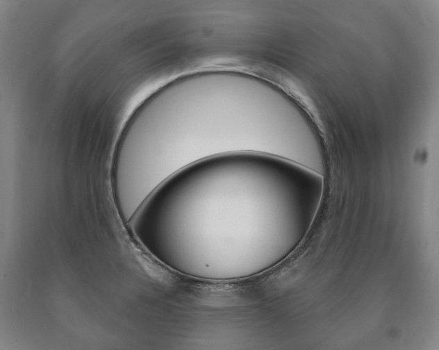 X0000090911328200707301024