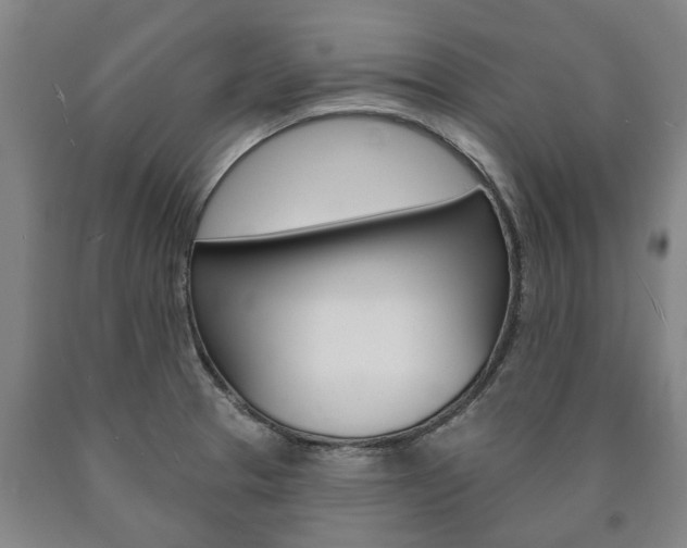 X0000090911329200707301024