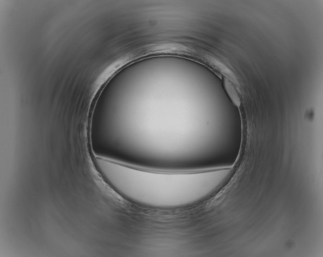X0000090911330200707301024
