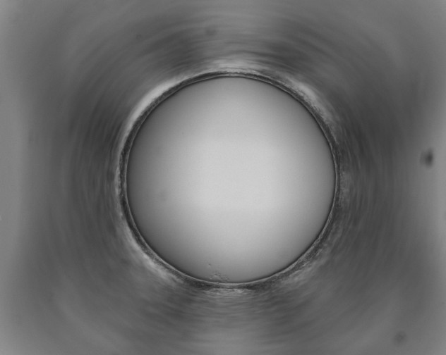 X0000090911331200707301024