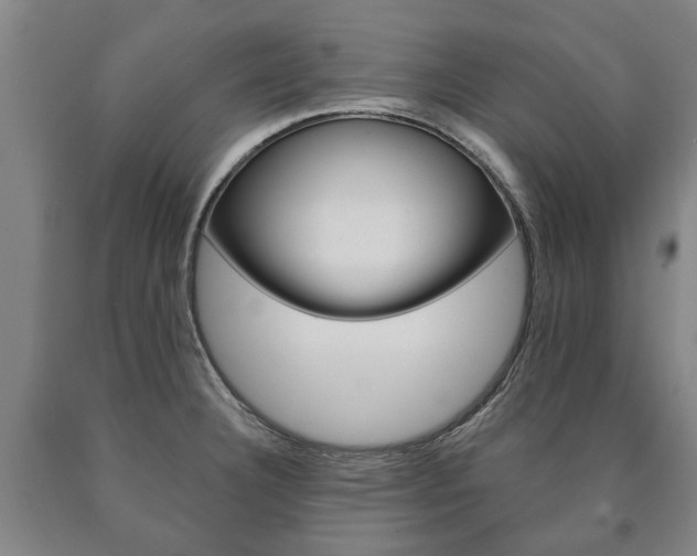 X0000090911332200707301024