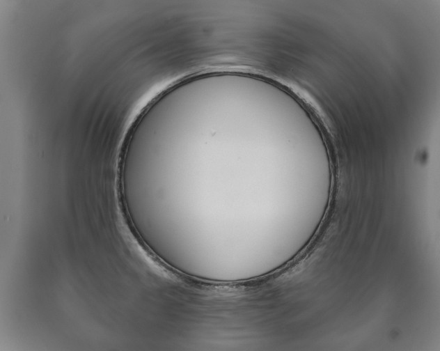 X0000090911333200707301024