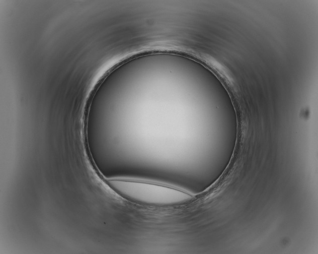 X0000090911334200707301024