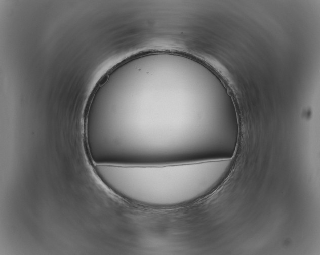 X0000090911335200707301024