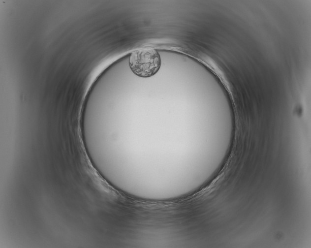 X0000090911336200707301024