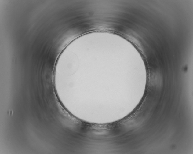 X0000090911338200707301025