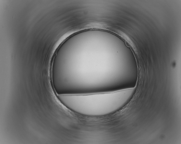 X0000090911339200707301025