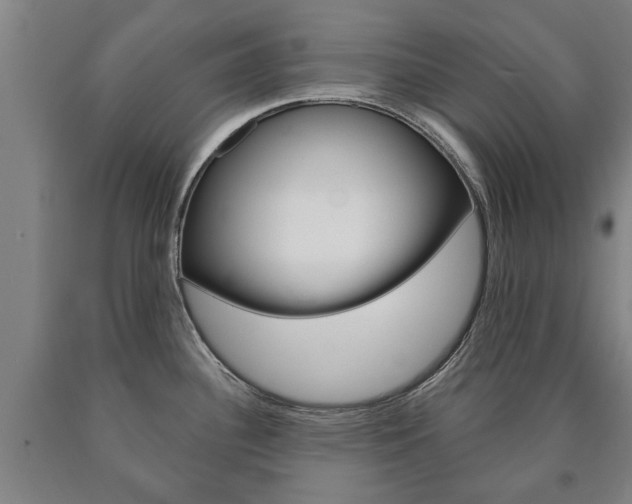 X0000090911340200707301025