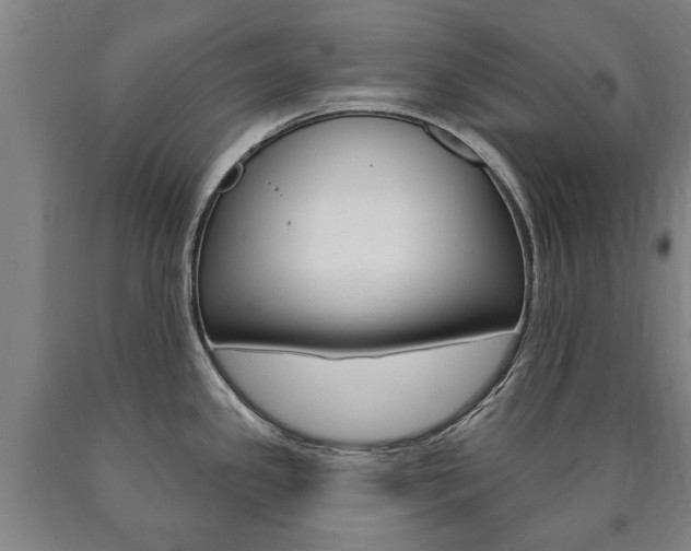 X0000090911341200707301025
