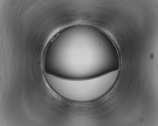 X0000090911342200707301025