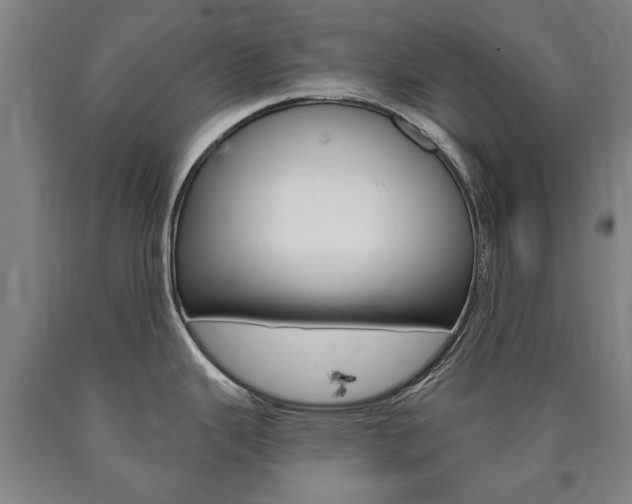 X0000090911343200707301025