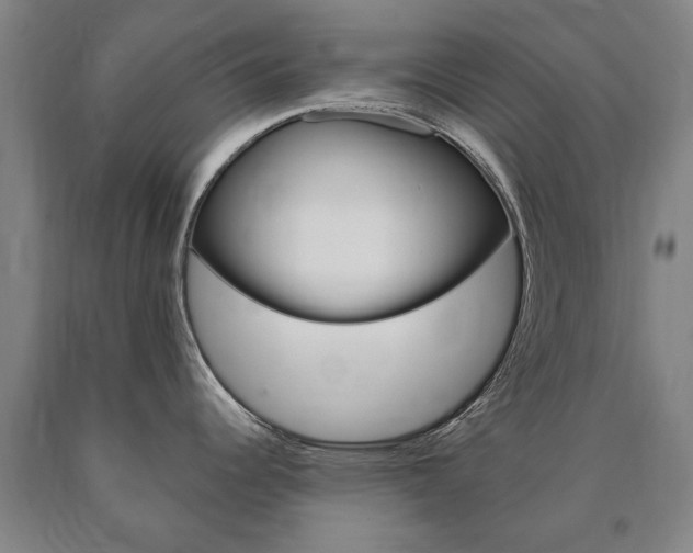 X0000090911344200707301025