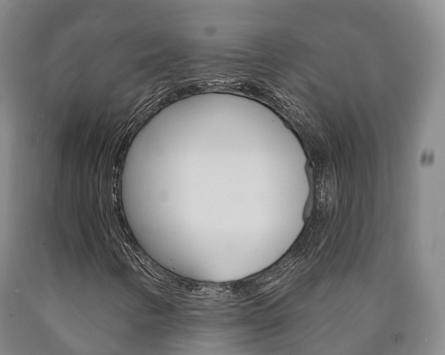 X0000090911346200707301024