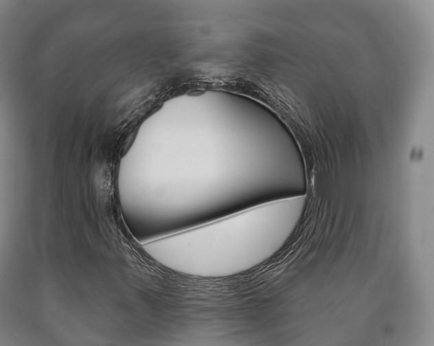 X0000090911347200707301024