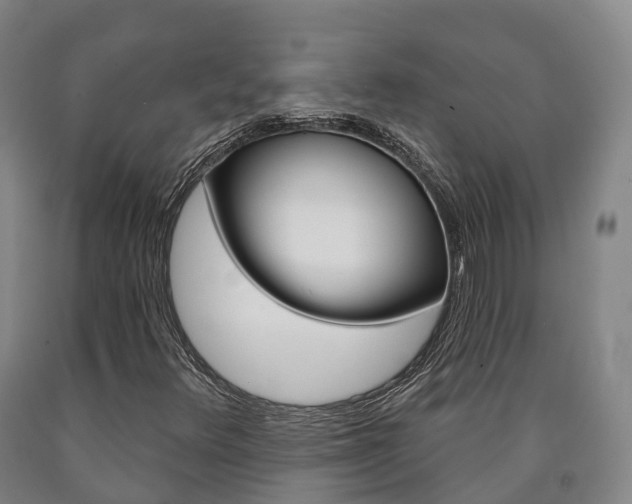 X0000090911348200707301024