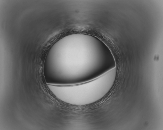 X0000090911349200707301024