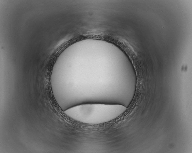 X0000090911350200707301024