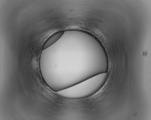 X0000090911353200707301024