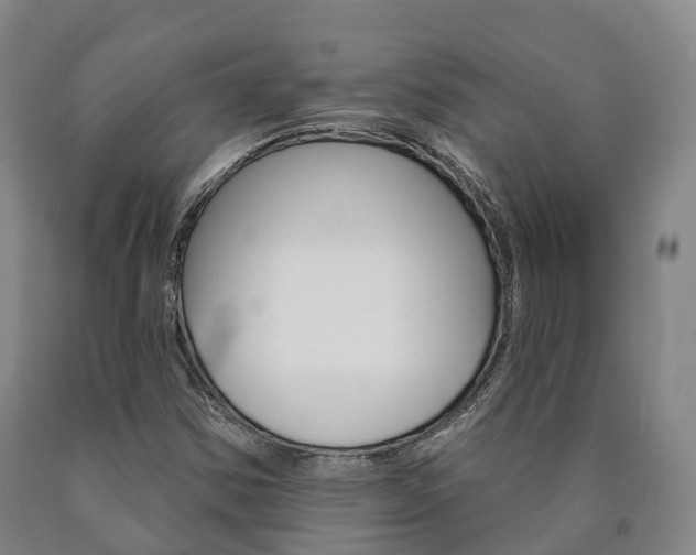 X0000090911354200707301024