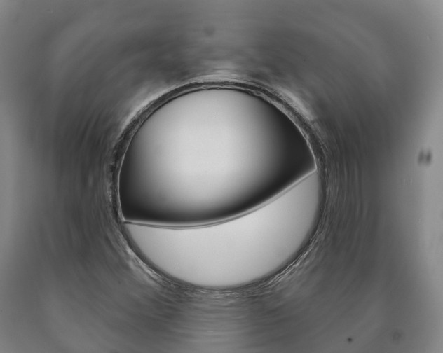 X0000090911356200707301024