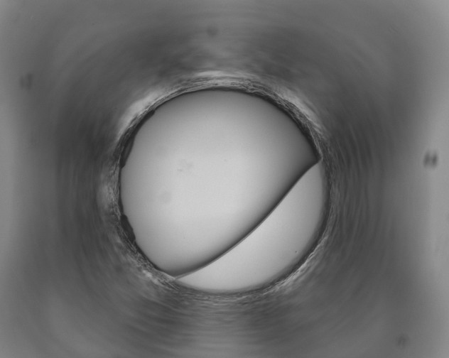 X0000090911357200707301024