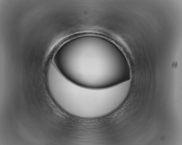 X0000090911360200707301024