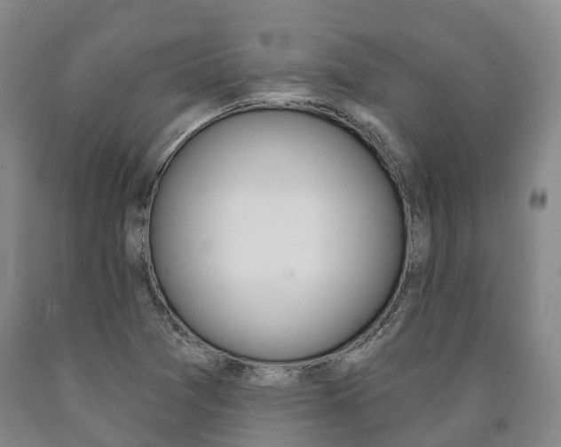 X0000090911361200707301024