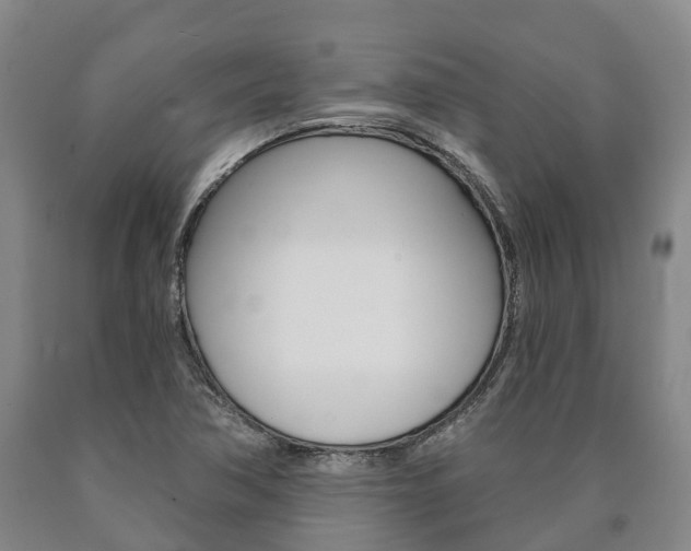 X0000090911362200707301024