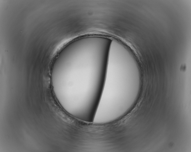 X0000090911363200707301024