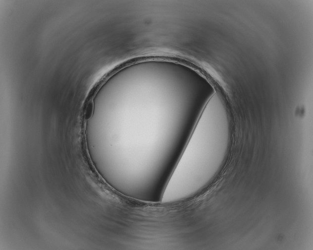 X0000090911364200707301024