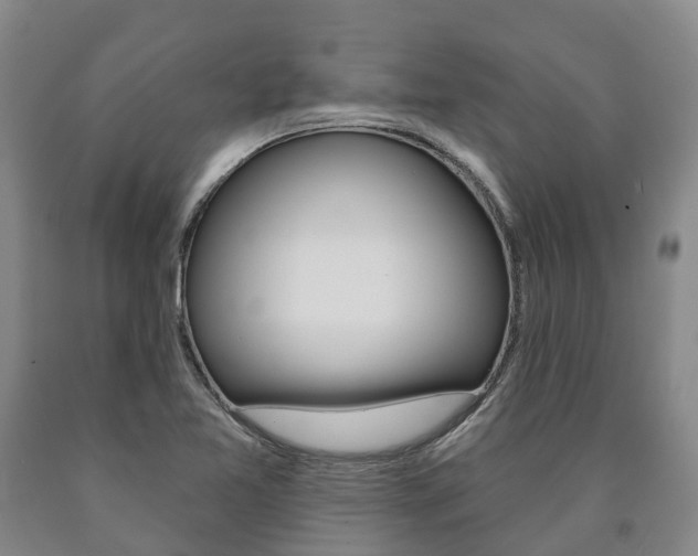 X0000090911365200707301024