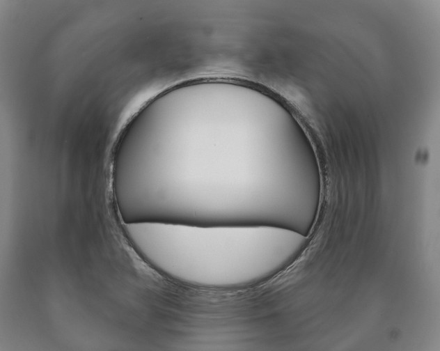 X0000090911366200707301024