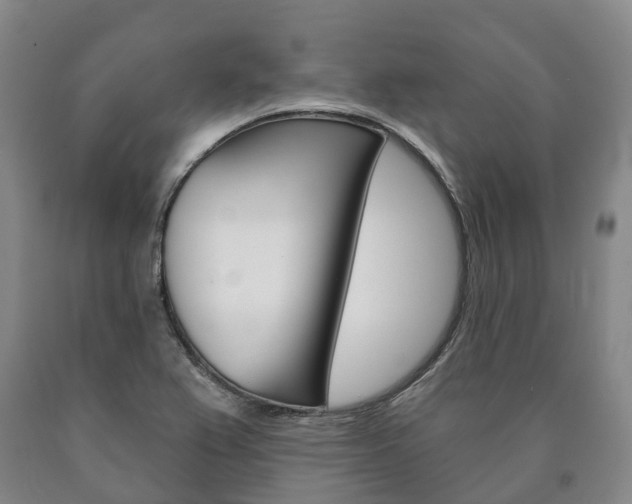 X0000090911367200707301024