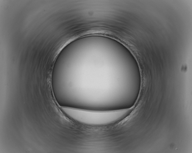 X0000090911369200707301024
