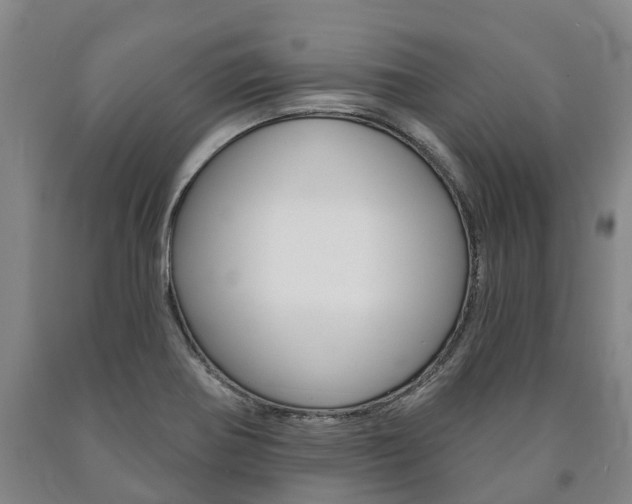 X0000090911370200707301024