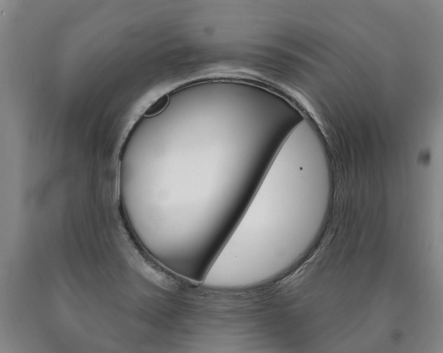 X0000090911371200707301023