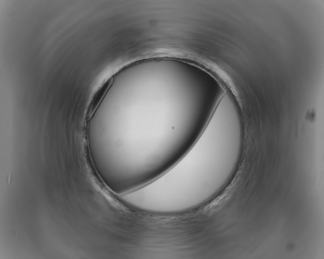 X0000090911373200707301023