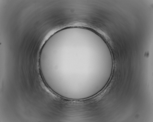 X0000090911374200707301023