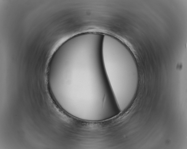 X0000090911375200707301023