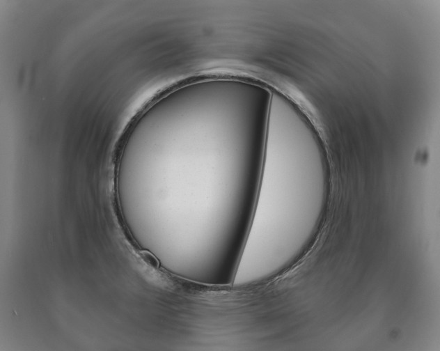 X0000090911376200707301023