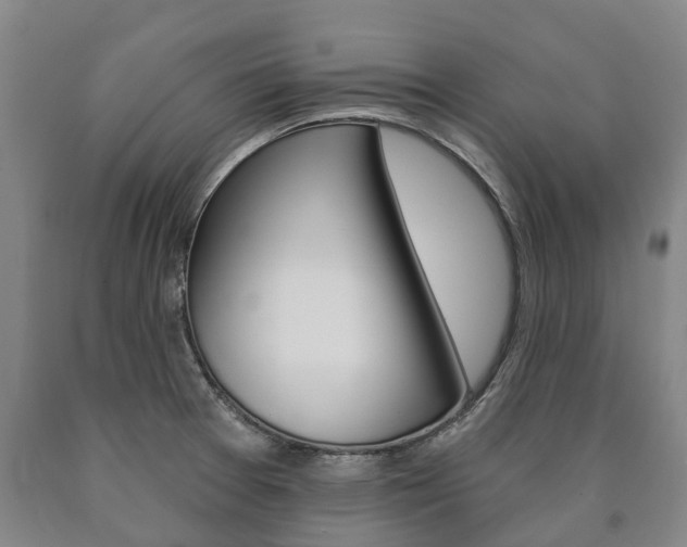 X0000090911377200707301023