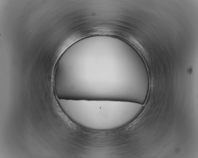 X0000090911378200707301023