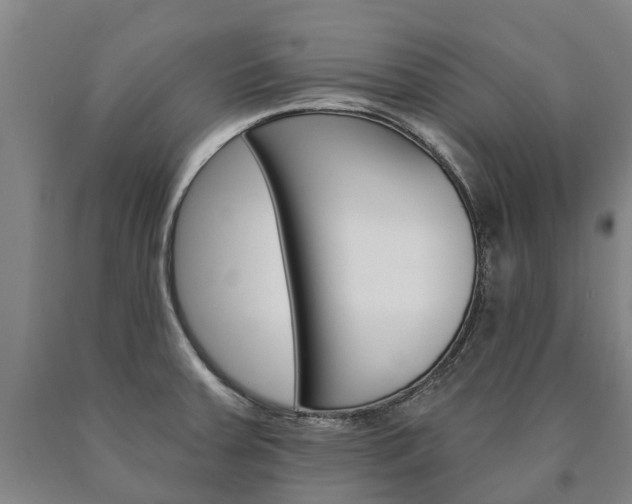 X0000090911379200707301023