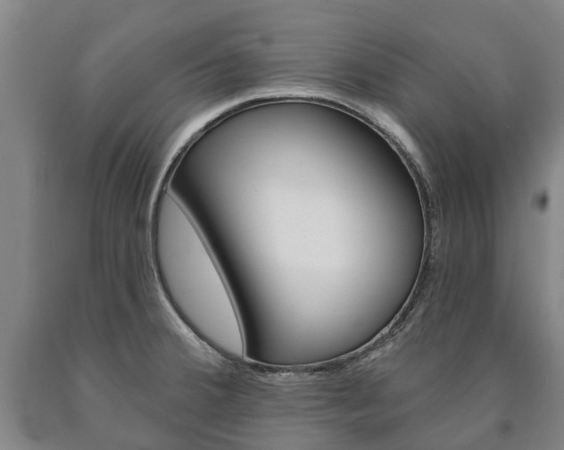 X0000090911380200707301023