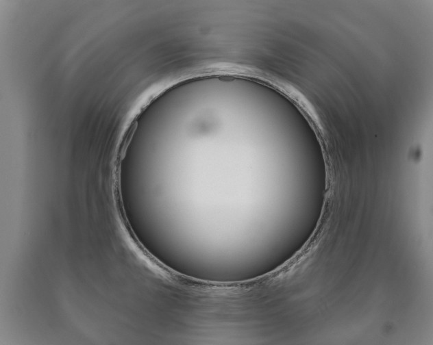 X0000090911381200707301023