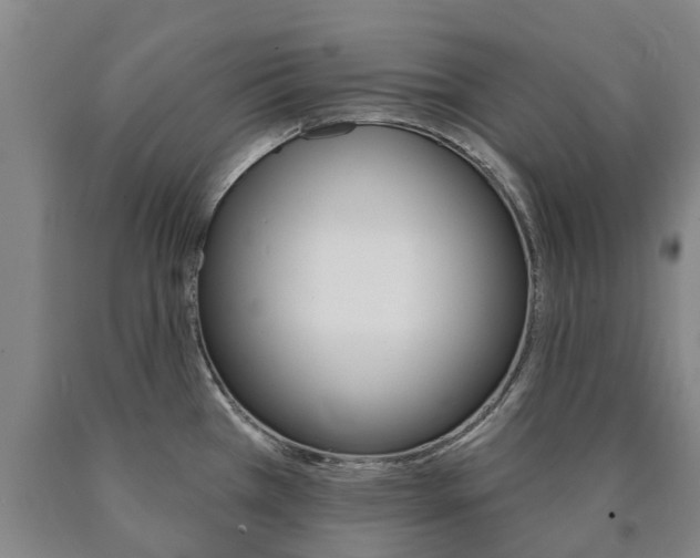 X0000090911385200707301023