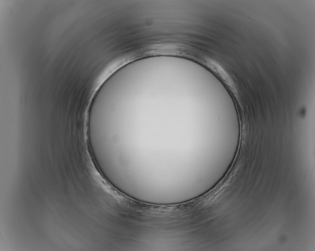 X0000090911386200707301023