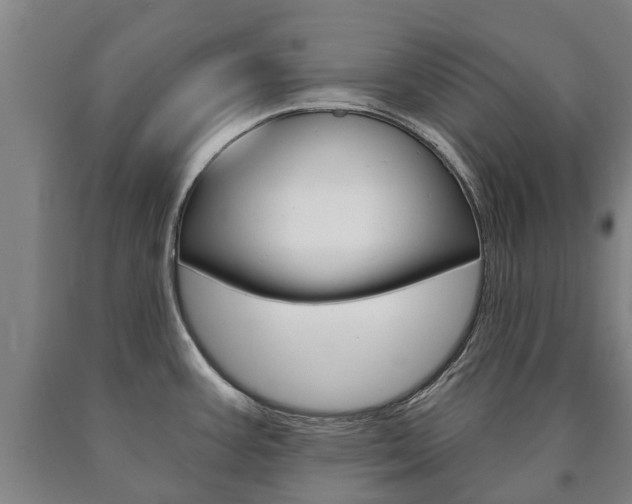 X0000090911387200707301023