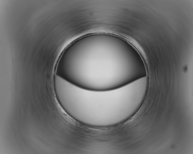X0000090911388200707301023