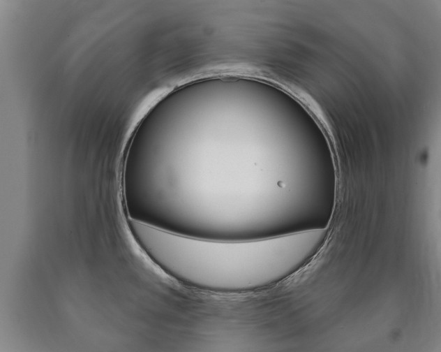 X0000090911389200707301023